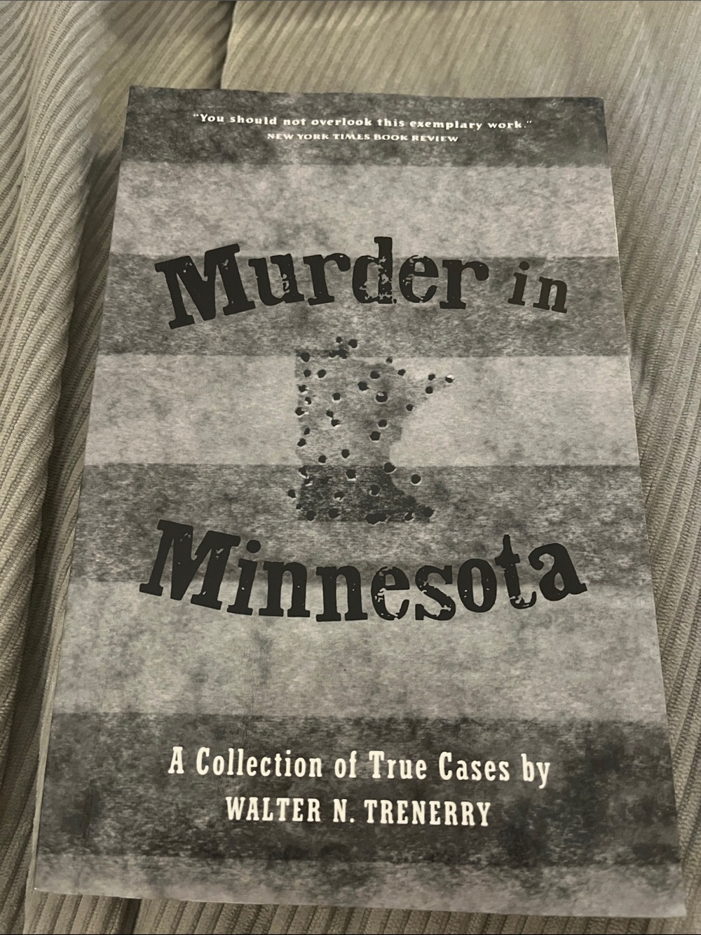 Murder in Minnesota by Walter N. Trenerry - Gray Cover